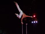 circus_probst_323.jpg