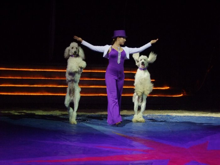 circus_renz_493.jpg