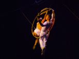 circus_renz_578.jpg