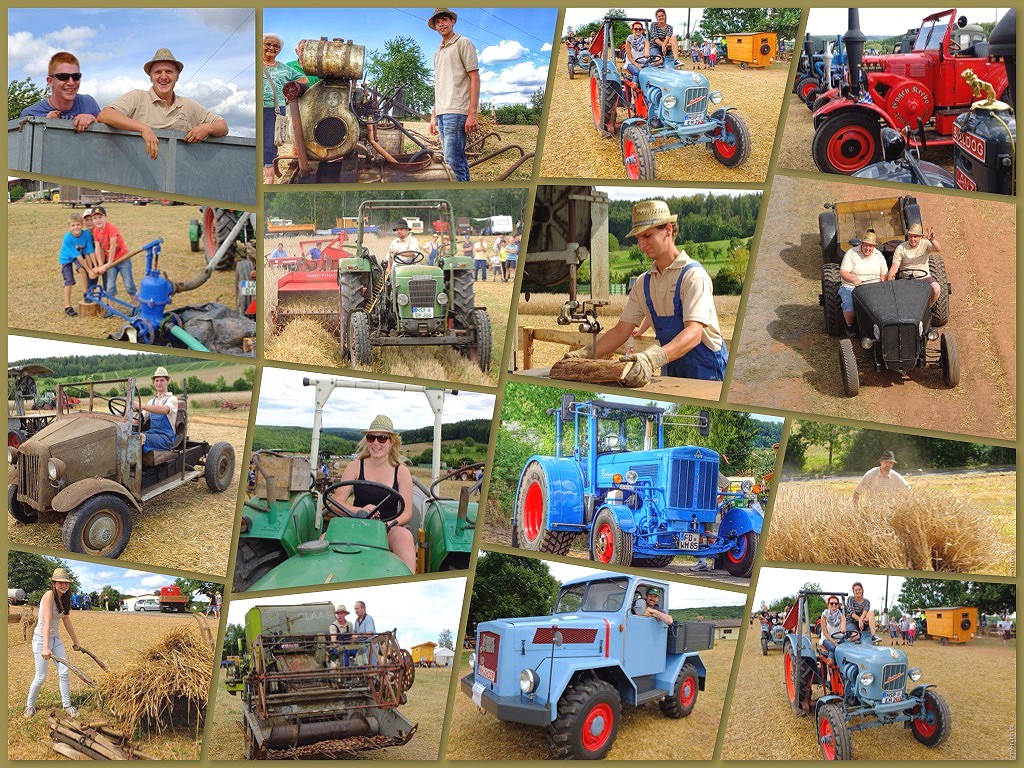 2. Bulldogtreffen der Dreschfreunde Halsbach e.V. am 9. und 10. August 2014 in Lohr/Halsbach