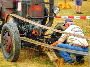 2. Bulldogtreffen 2014