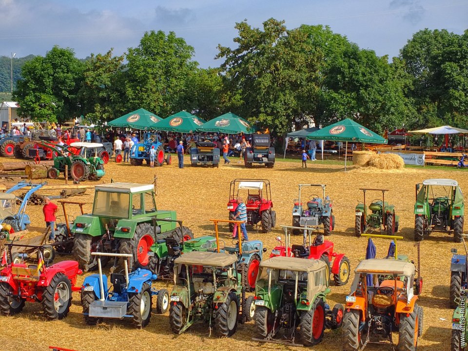 bulldogtreffen2016__066.jpg