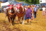 bulldogtreffen2016__220.jpg