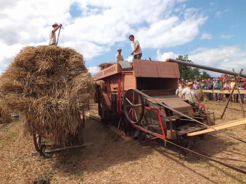 bulldogtreffen_270.jpg