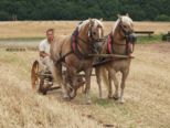 bulldogtreffen_417.jpg