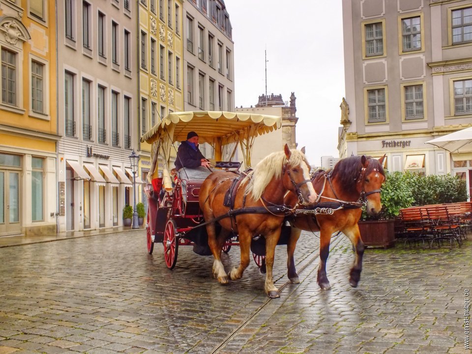 dresden2016__020.jpg