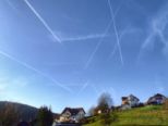 echterspfahl_016.jpg