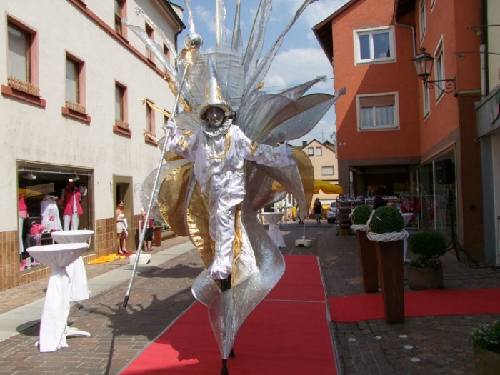 ektage-2011__061.jpg