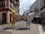 ektage-2011__026.jpg