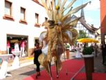 ektage-2011__063.jpg