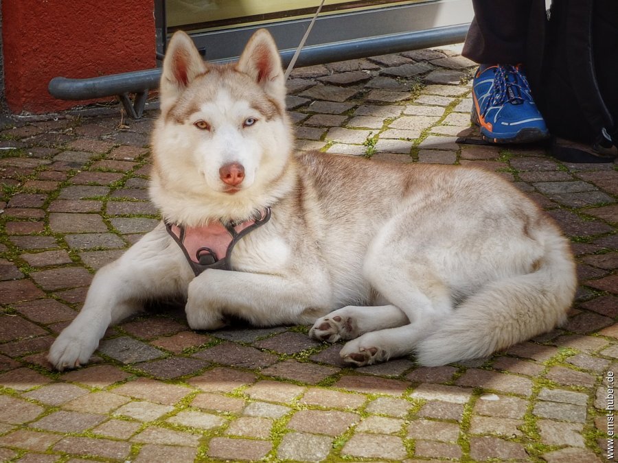 zwergen_sa_2024-__045-01.jpg