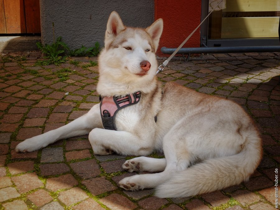 zwergen_sa_2024-__047-01.jpg