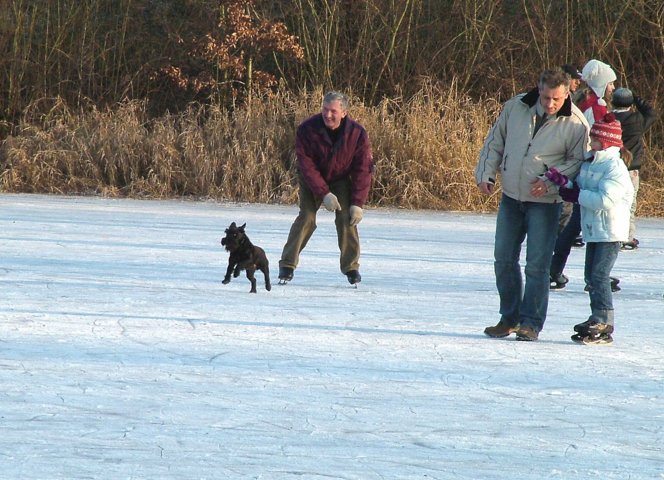 eislaufen_044.jpg