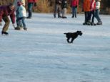 eislaufen_045.jpg