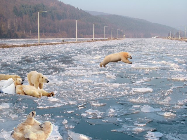 eiszeit_018.jpg