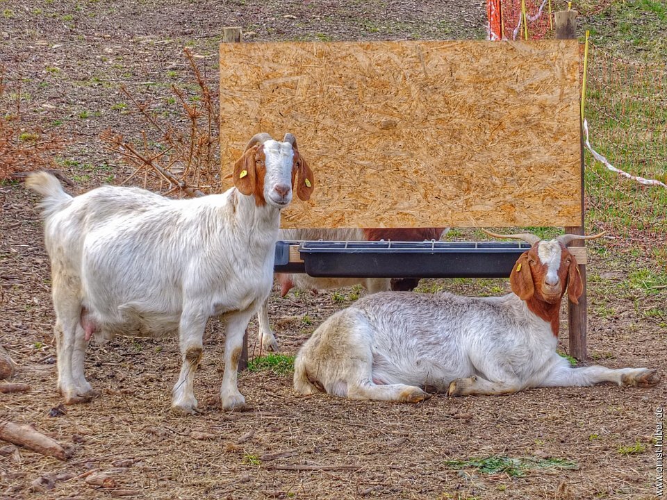 erlabrunn2021_160.jpg