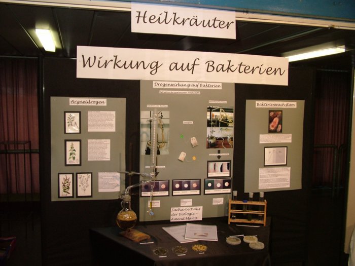 facharbeit_007.jpg