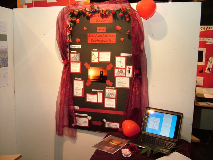 facharbeit_036.jpg