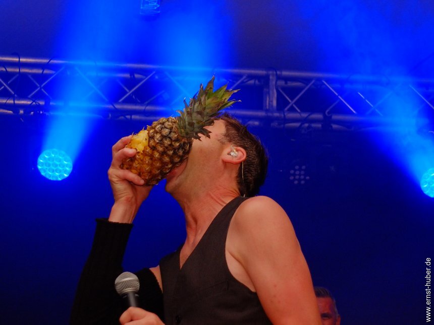 crush_fraba__312.jpg
