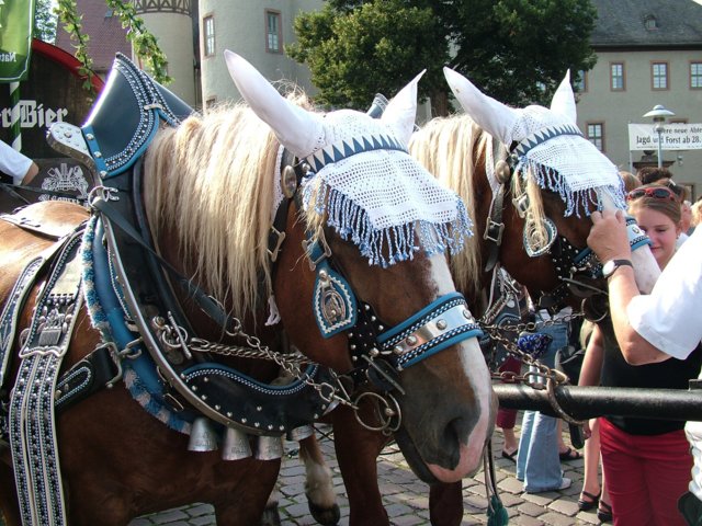 festwoche_071.jpg