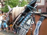 festwoche_052.jpg