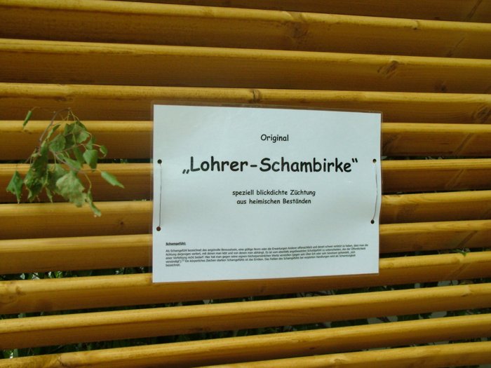 festwoche2008_157.jpg