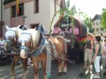 festwoche2008_041.jpg