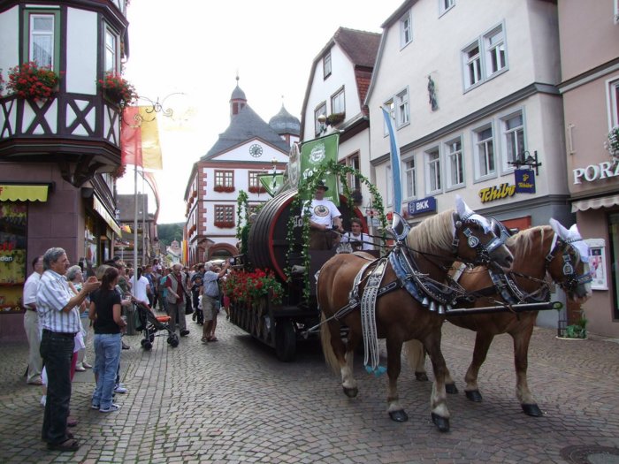 festwoche_2009__318.jpg