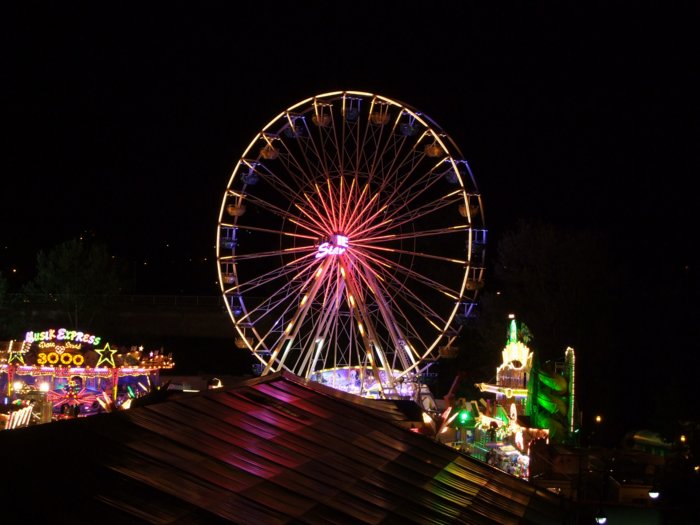 oberhauser_2010__167.jpg