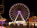 oberhauser_2010__132.jpg
