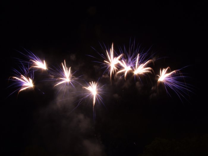 feuerwerk_2011__299.jpg