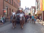 festwoche2012_105.jpg