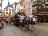 festwoche2014__227.jpg