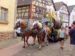 festwoche2015__197.jpg