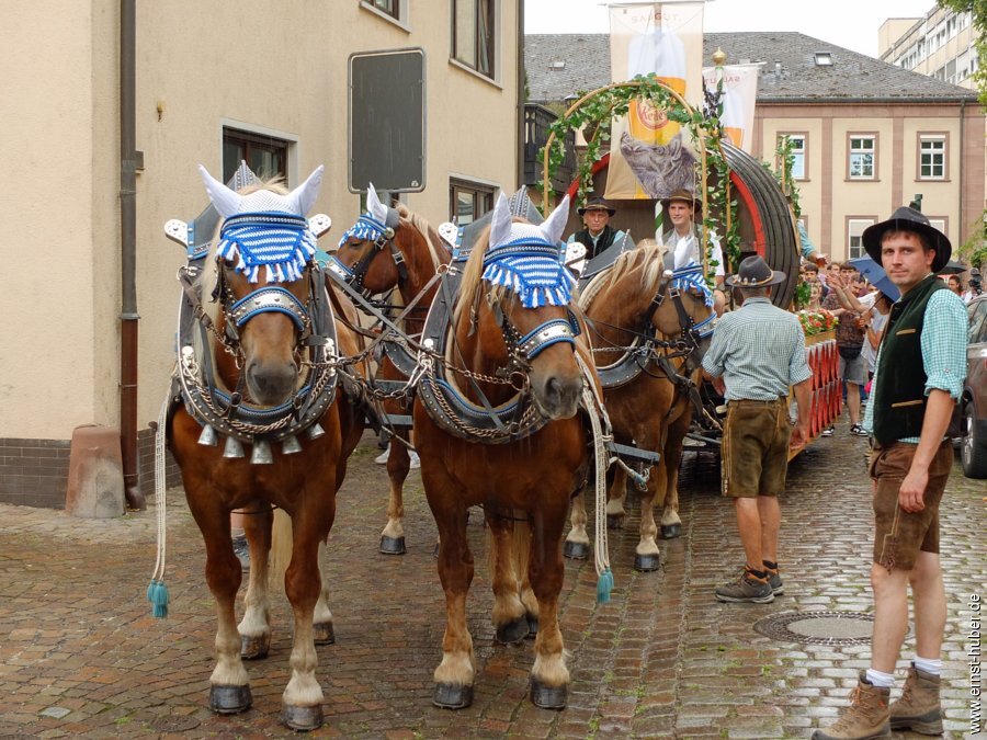 festwoche2025___104.jpg