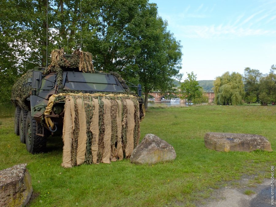 125ffwseba__004.jpg