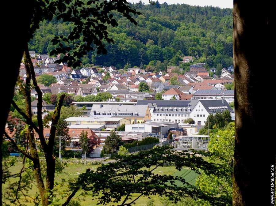 ffw_steinbach__060.jpg
