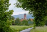 ffw_steinbach__016.jpg