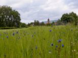 ffw_steinbach__017.jpg