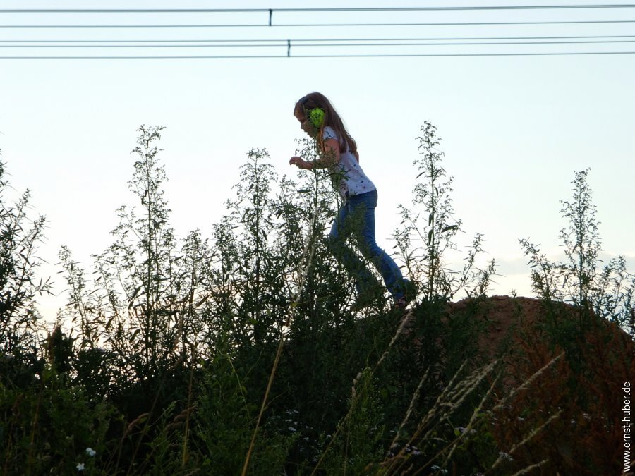 openair2024__122.jpg