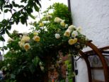 dscf0227.jpg