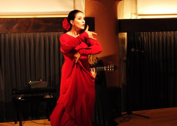 flamenco__128.jpg