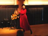 flamenco__127.jpg