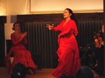 flamenco__211.jpg