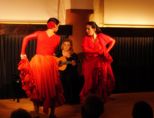 flamenco__265.jpg