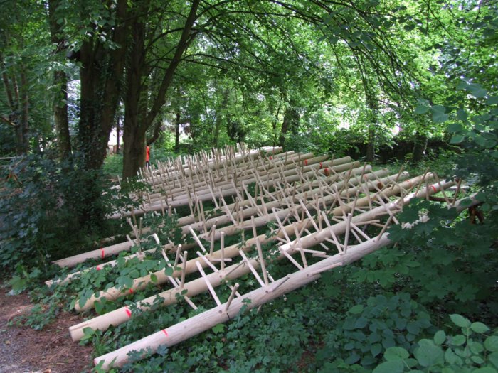 forestry_skills_147.jpg