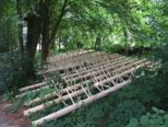 forestry_skills_147.jpg