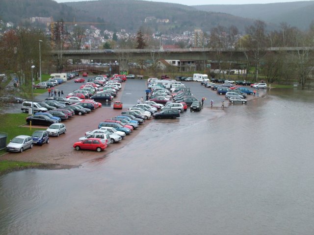 fruehling_027.jpg