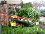 fruehling_002.jpg