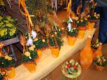 fruehling_013.jpg